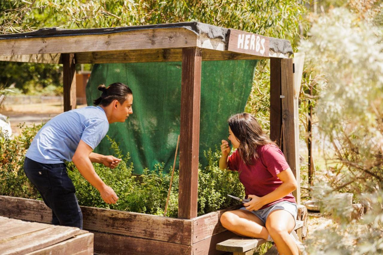 Yha Grampians Eco, Halls Gap Esterno foto