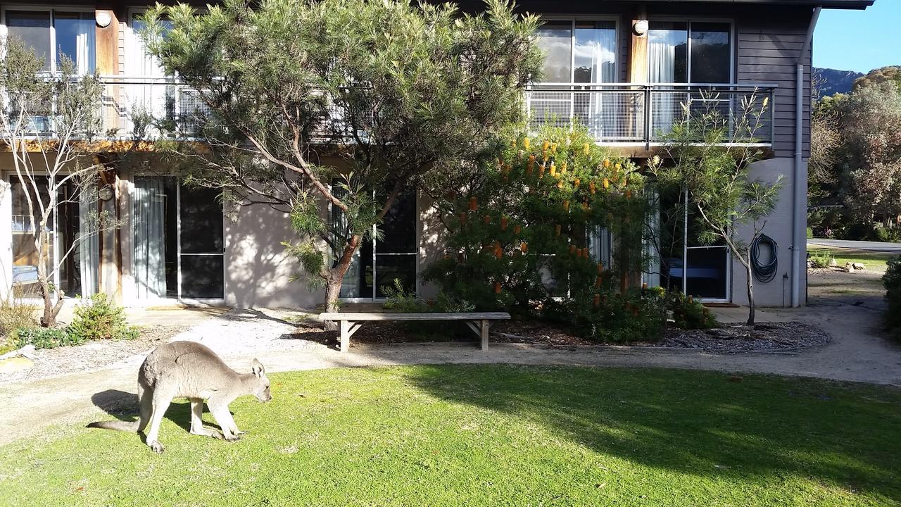 Yha Grampians Eco, Halls Gap Esterno foto